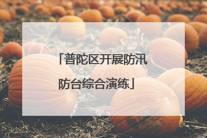 普陀区开展防汛防台综合演练